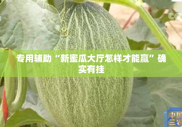 专用辅助“新蜜瓜大厅怎样才能赢	”确实有挂