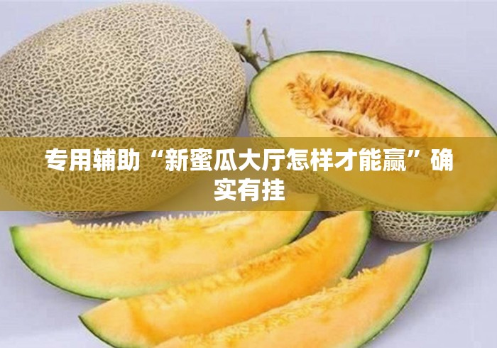 专用辅助“新蜜瓜大厅怎样才能赢	”确实有挂
