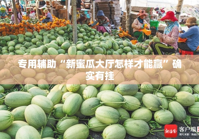 专用辅助“新蜜瓜大厅怎样才能赢”确实有挂