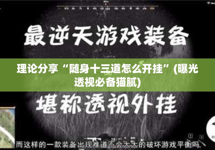 理论分享“随身十三道怎么开挂	”(曝光透视必备猫腻)
