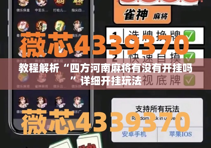 教程解析“四方河南麻将有没有开挂吗”详细开挂玩法