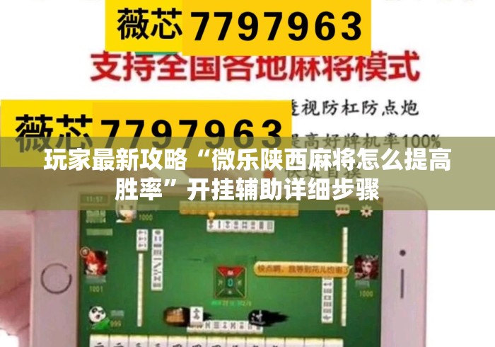 玩家最新攻略“微乐陕西麻将怎么提高胜率”开挂辅助详细步骤