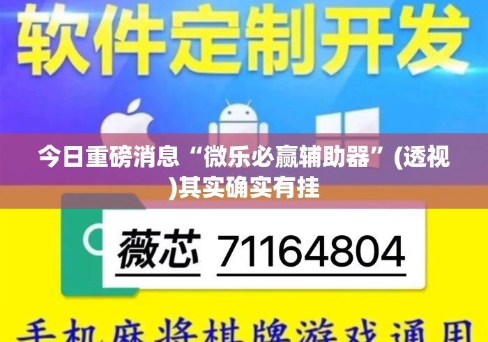 今日重磅消息“微乐必赢辅助器	”(透视)其实确实有挂