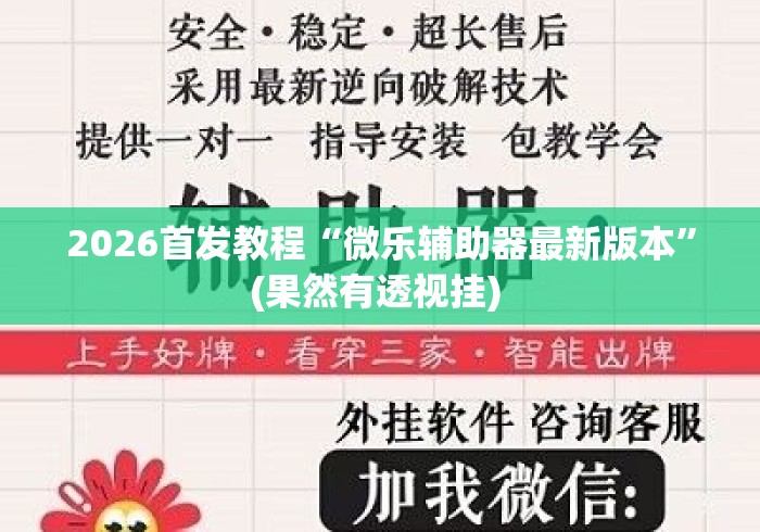 2026首发教程“微乐辅助器最新版本	”(果然有透视挂) 