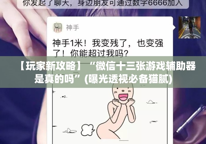【玩家新攻略】“微信十三张游戏辅助器是真的吗”(曝光透视必备猫腻)