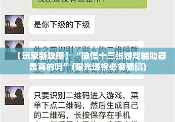 【玩家新攻略】“微信十三张游戏辅助器是真的吗”(曝光透视必备猫腻)