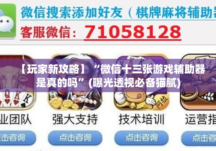 【玩家新攻略】“微信十三张游戏辅助器是真的吗”(曝光透视必备猫腻)