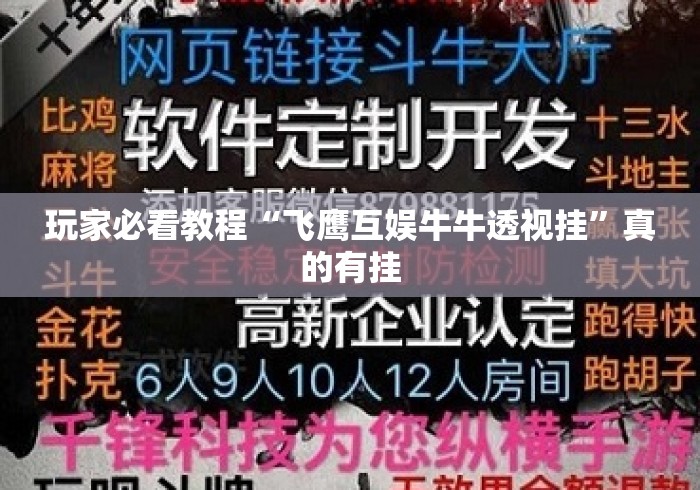 玩家必看教程“飞鹰互娱牛牛透视挂	”真的有挂