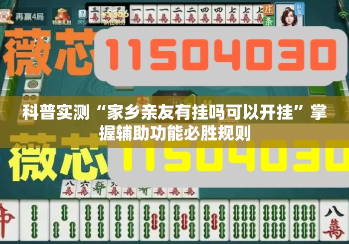 科普实测“家乡亲友有挂吗可以开挂”掌握辅助功能必胜规则