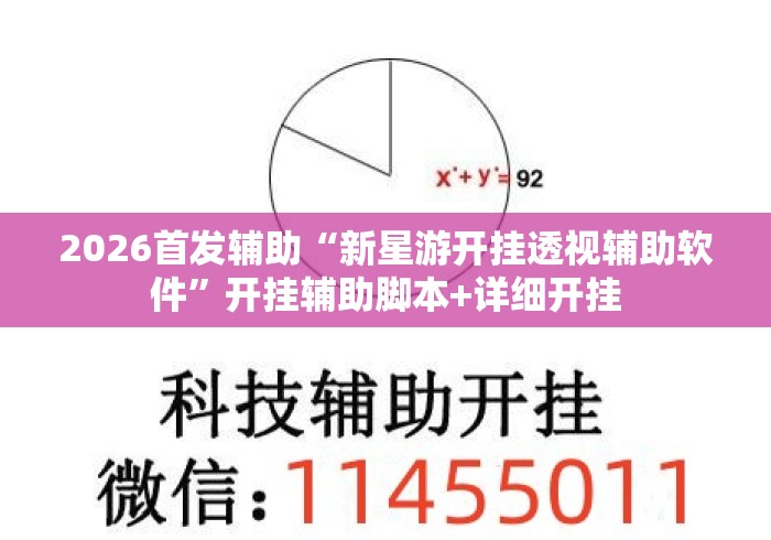 2026首发辅助“新星游开挂透视辅助软件”开挂辅助脚本+详细开挂