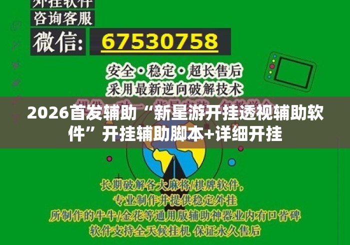 2026首发辅助“新星游开挂透视辅助软件	”开挂辅助脚本+详细开挂