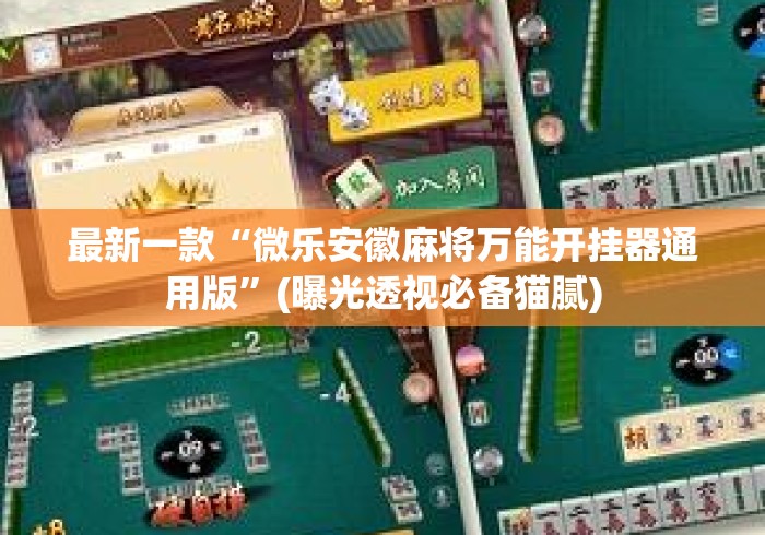 最新一款“微乐安徽麻将万能开挂器通用版”(曝光透视必备猫腻)