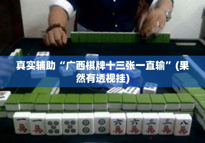 真实辅助“广西棋牌十三张一直输	”(果然有透视挂)