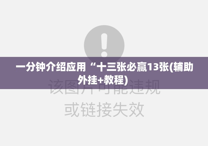 一分钟介绍应用“十三张必赢13张(辅助外挂+教程) 