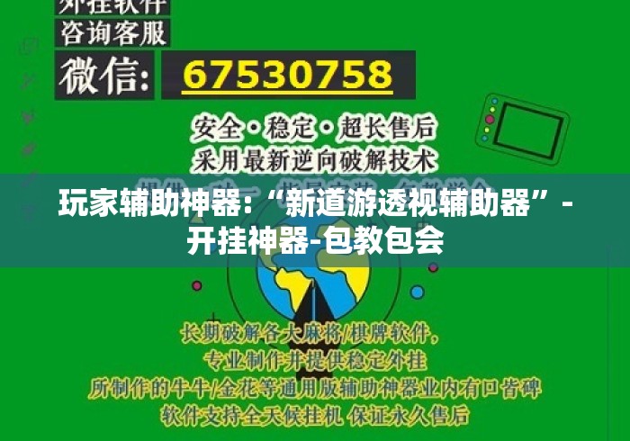 玩家辅助神器:“新道游透视辅助器”-开挂神器-包教包会