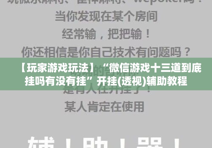 【玩家游戏玩法】“微信游戏十三道到底挂吗有没有挂”开挂(透视)辅助教程