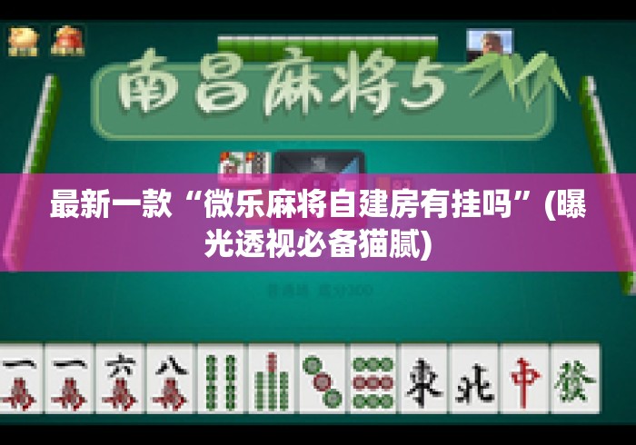 最新一款“微乐麻将自建房有挂吗”(曝光透视必备猫腻)