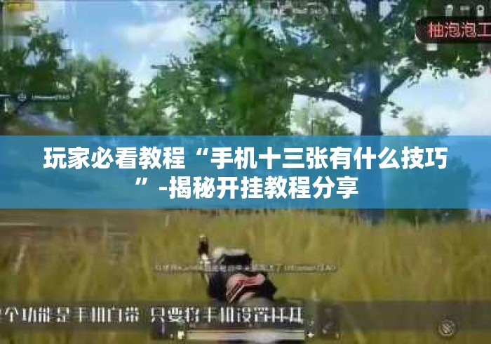 玩家必看教程“手机十三张有什么技巧”-揭秘开挂教程分享