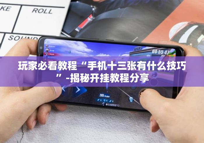 玩家必看教程“手机十三张有什么技巧”-揭秘开挂教程分享