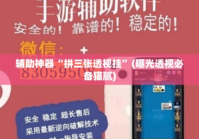 辅助神器“拼三张透视挂	”(曝光透视必备猫腻)