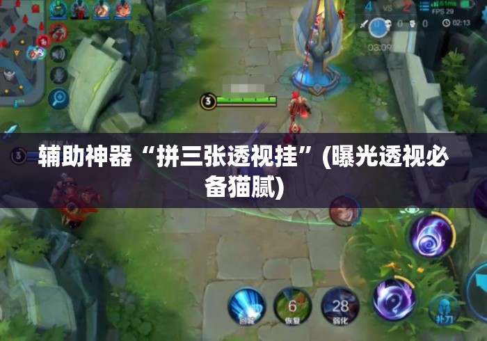 辅助神器“拼三张透视挂”(曝光透视必备猫腻)