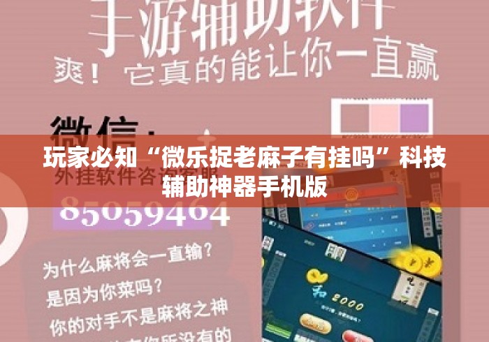 玩家必知“微乐捉老麻子有挂吗	”科技辅助神器手机版