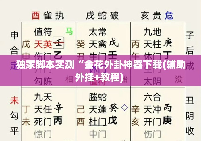 独家脚本实测“金花外卦神器下载(辅助外挂+教程) 