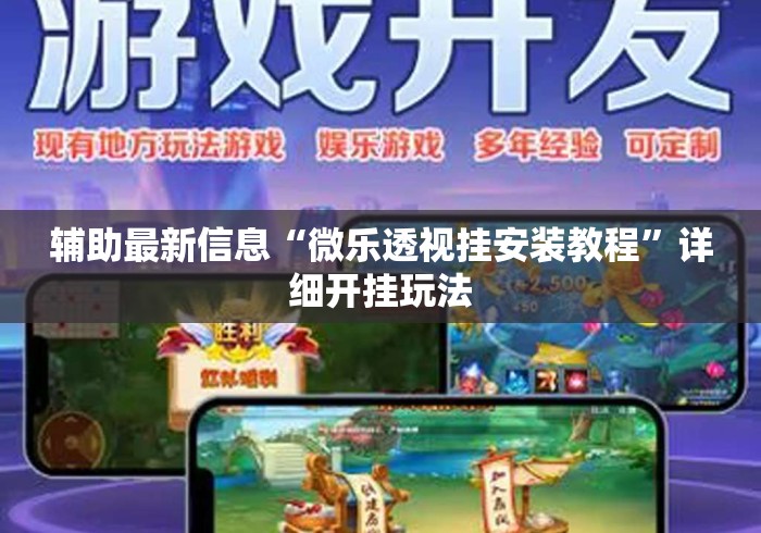 辅助最新信息“微乐透视挂安装教程”详细开挂玩法