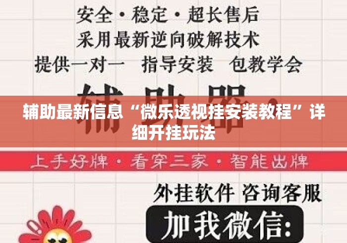 辅助最新信息“微乐透视挂安装教程	”详细开挂玩法