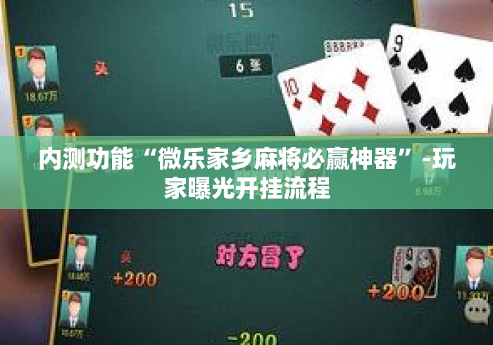 内测功能“微乐家乡麻将必赢神器”-玩家曝光开挂流程