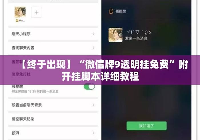 【终于出现】“微信牌9透明挂免费”附开挂脚本详细教程