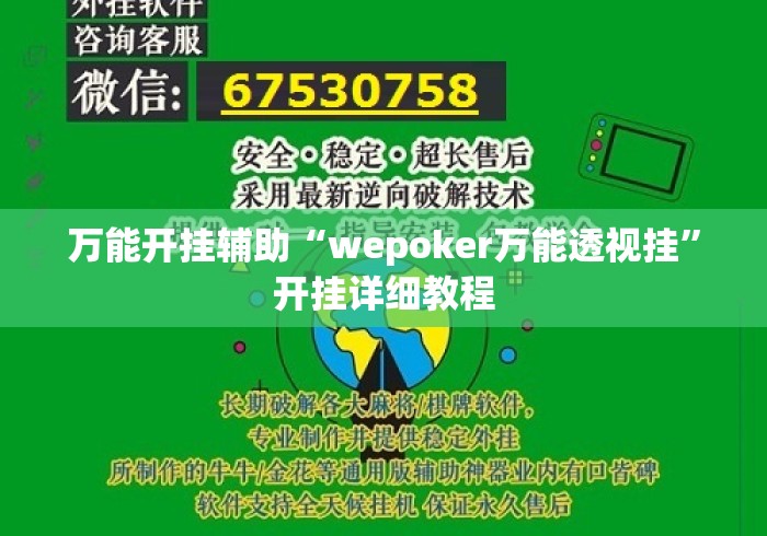 万能开挂辅助“wepoker万能透视挂	”开挂详细教程