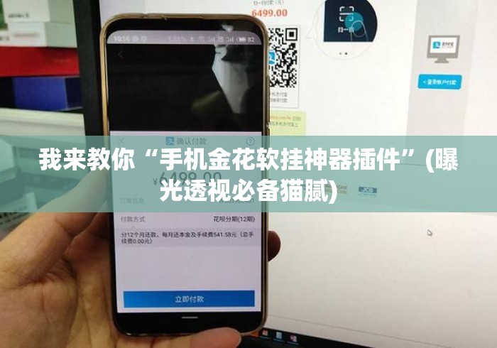 我来教你“手机金花软挂神器插件”(曝光透视必备猫腻)