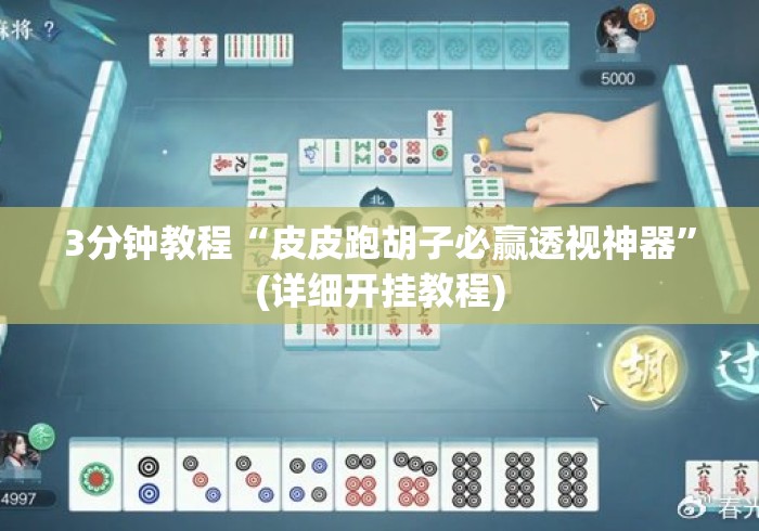 3分钟教程“皮皮跑胡子必赢透视神器”(详细开挂教程)