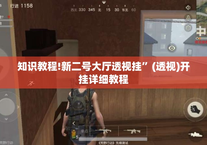 知识教程!新二号大厅透视挂”(透视)开挂详细教程