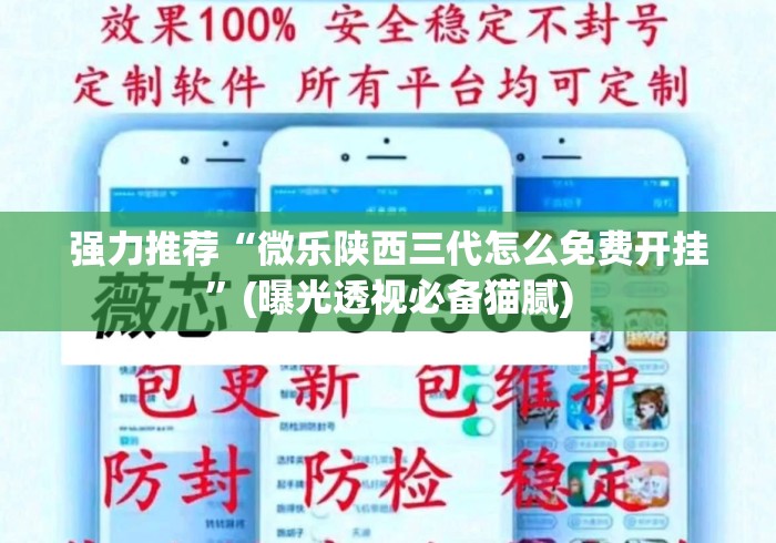 强力推荐“微乐陕西三代怎么免费开挂”(曝光透视必备猫腻)