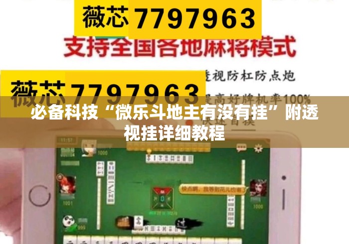 必备科技“微乐斗地主有没有挂”附透视挂详细教程