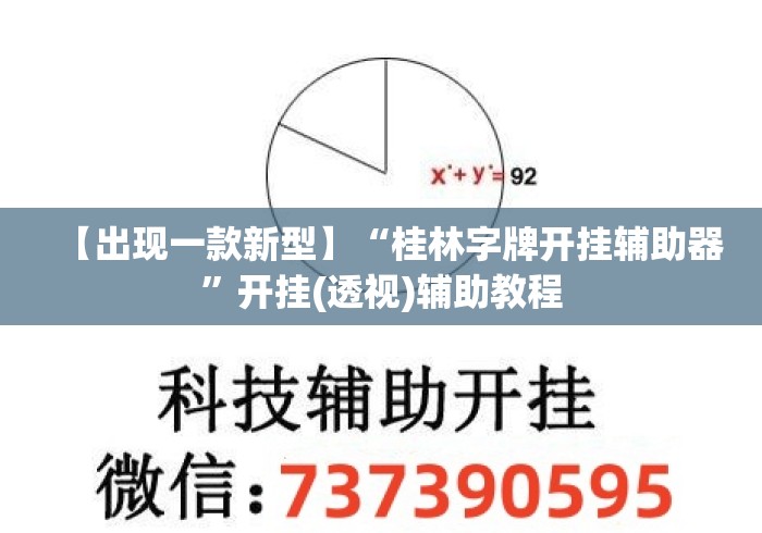 【出现一款新型】“桂林字牌开挂辅助器”开挂(透视)辅助教程