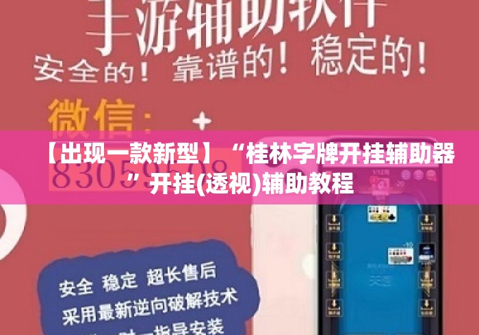 【出现一款新型】“桂林字牌开挂辅助器”开挂(透视)辅助教程