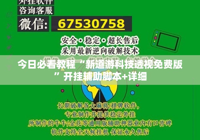 今日必看教程“新道游科技透视免费版”开挂辅助脚本+详细
