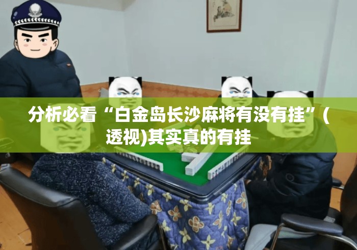 分析必看“白金岛长沙麻将有没有挂”(透视)其实真的有挂