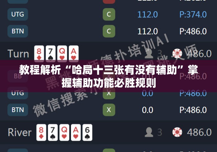 教程解析“哈局十三张有没有辅助”掌握辅助功能必胜规则
