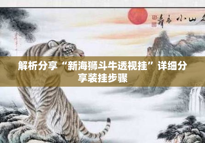 解析分享“新海狮斗牛透视挂”详细分享装挂步骤