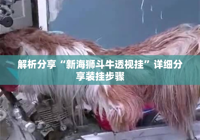解析分享“新海狮斗牛透视挂	”详细分享装挂步骤