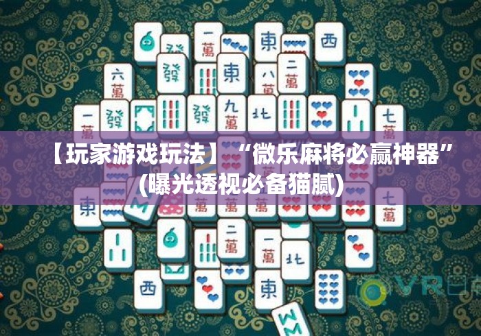 【玩家游戏玩法】“微乐麻将必赢神器”(曝光透视必备猫腻)