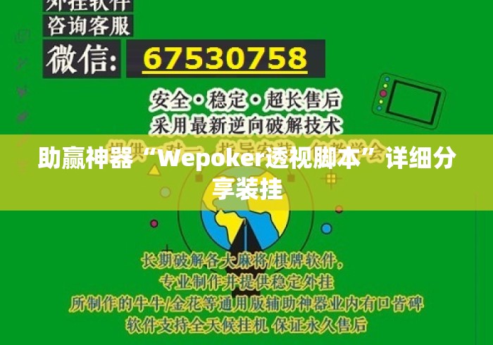 助赢神器“Wepoker透视脚本”详细分享装挂