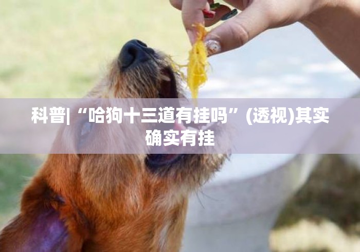 科普|“哈狗十三道有挂吗	”(透视)其实确实有挂