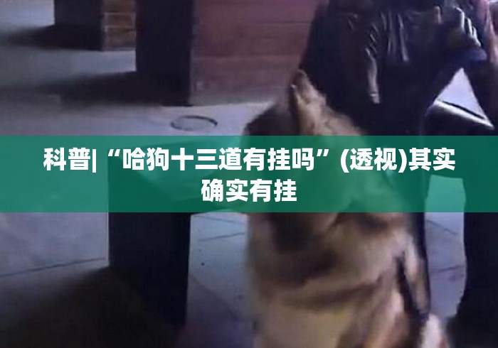 科普|“哈狗十三道有挂吗”(透视)其实确实有挂
