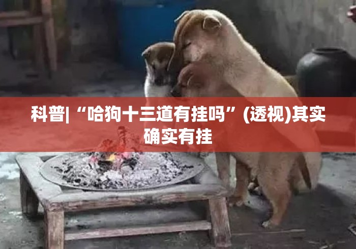 科普|“哈狗十三道有挂吗”(透视)其实确实有挂