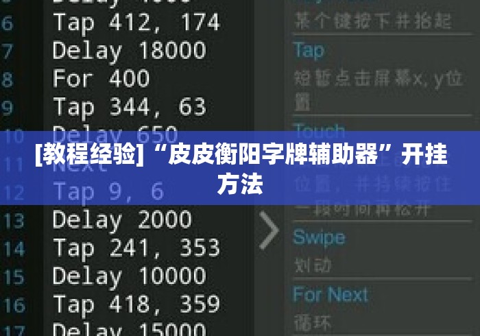 [教程经验]“皮皮衡阳字牌辅助器”开挂方法